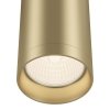 Lampa sufitowa plafon natynkowa nowoczesna tuba aluminiowa matowe złoto FOCUS MAYTONI C010CL-01MG